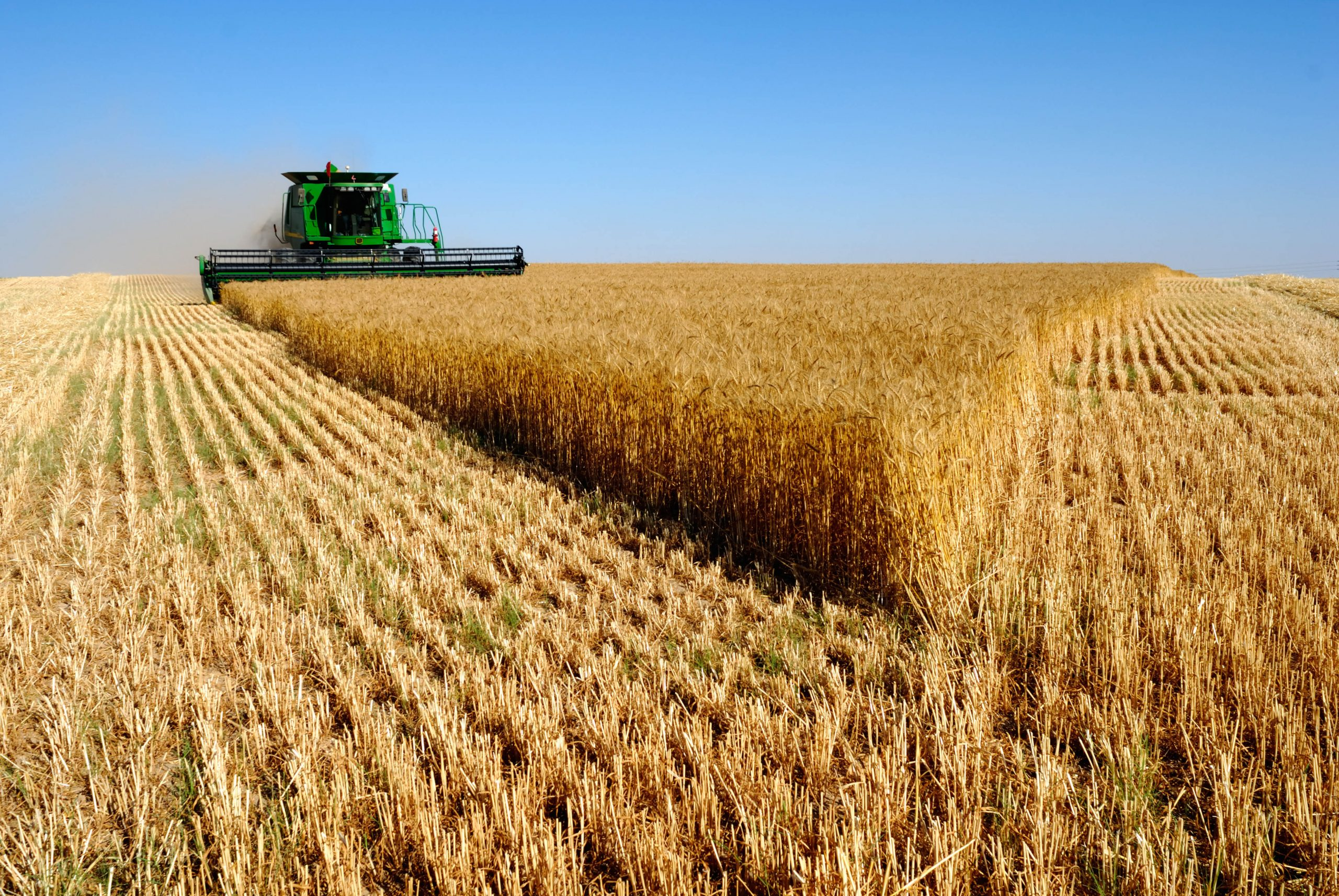 Сельскохозяйственное производство преобладает в. Сельское хозяйство. Сельское хозяйство России. Посев пшеницы. Сельскохозяйственный ландшафт.